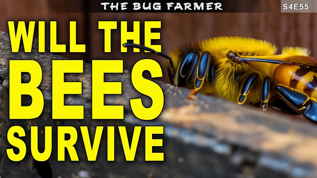 Will The Bees Survive the Winter | Army Bee Barn Inspection and Update #bees #beekeeping #bee