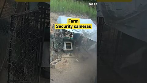 Monitoring Farm Animals