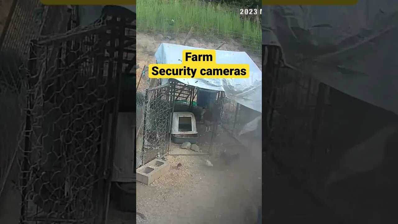 Monitoring Farm Animals