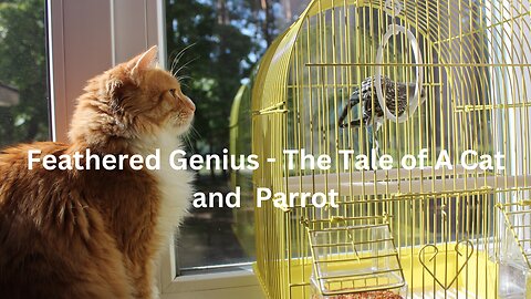 Feathered Genius - The Tale of A Cat and Parrot