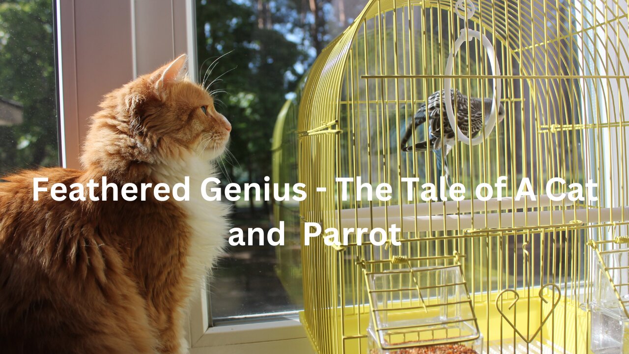 Feathered Genius - The Tale of A Cat and Parrot