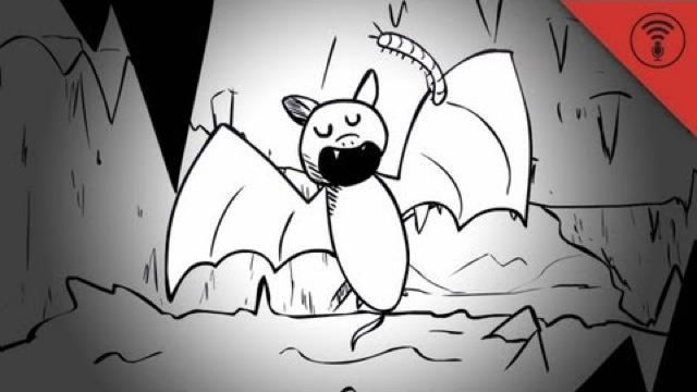 Stuff You Should Know: Stuff You Should Know Animated: Biospeleology and the Dark, Dank World of Caves