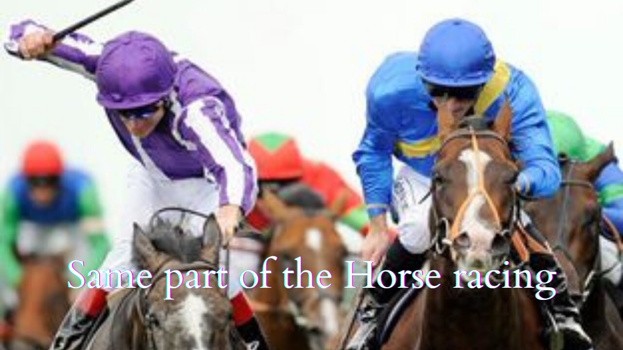 Best of the animals 2021 Same part of the Horse racing #34