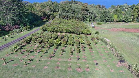 29-2098 MAMALAHOA HWY. - AERIAL VIDEO PREVIEW