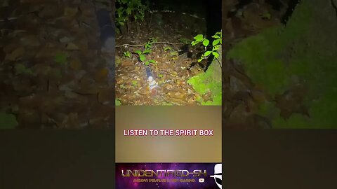 Spirit Communication Captured