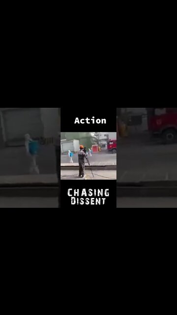 Wag The Dog - China Style