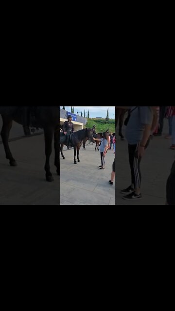 Horses! Mounted Police at #athleticomadrid #athletico game