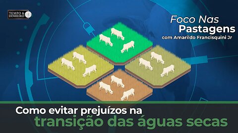 Foco nas Pastagens mostra como evitar prejuízos na transição das águas secas