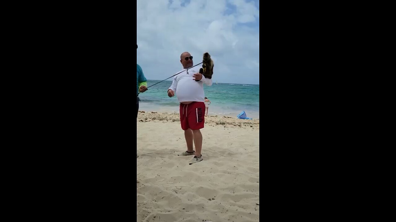 Amigo con el monito