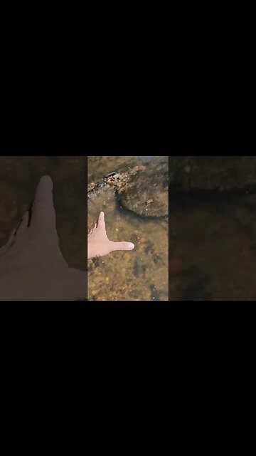 Look what I found under this rock...#findinggold