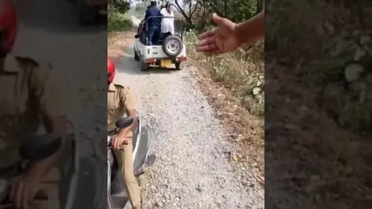 IF you can’t respect animals, don’t go to the jungle