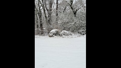 First snowfall this year