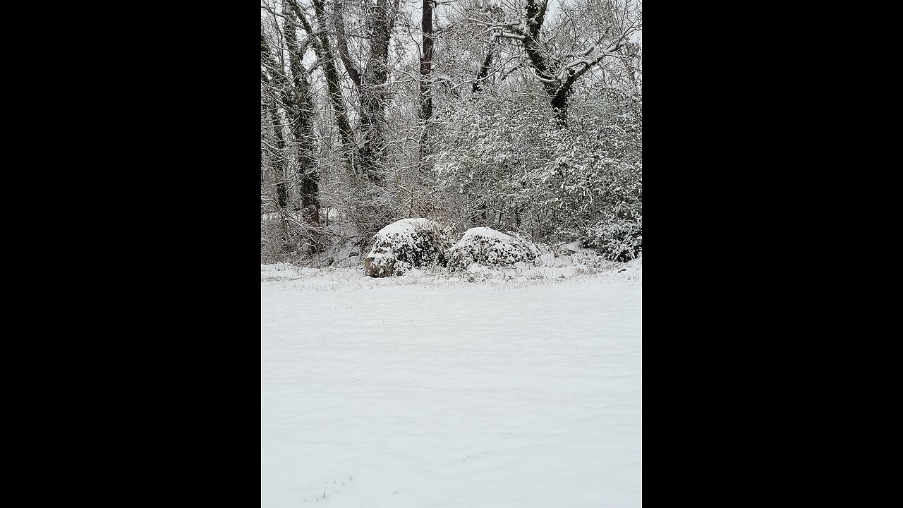 First snowfall this year