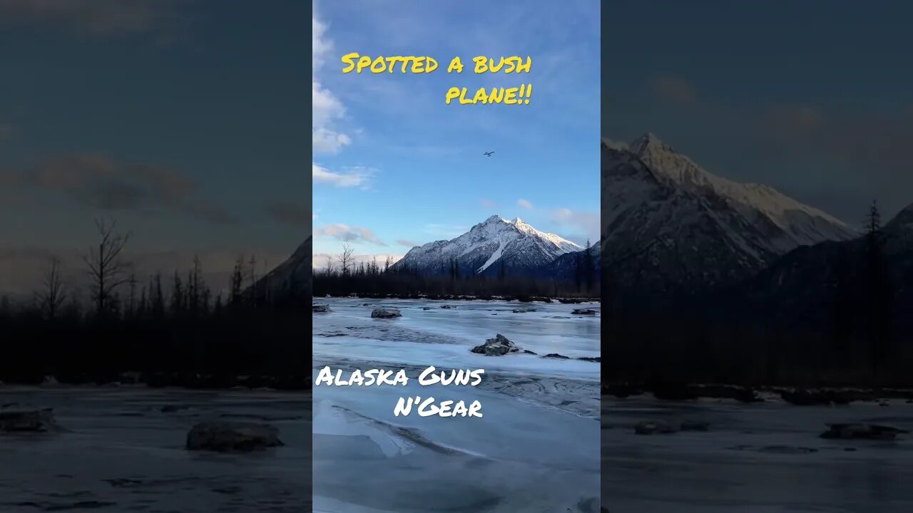 🔥Into The WILD!! #shorts #trending #alaska