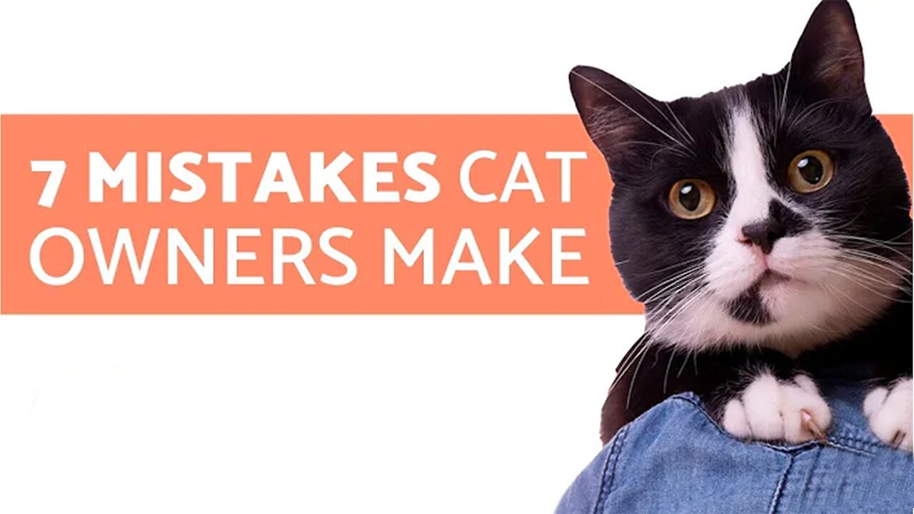 7 Mistakes cat owners make