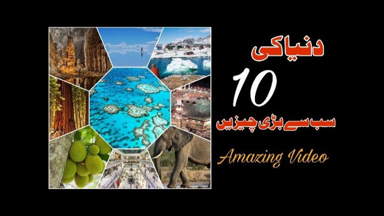 top 10 World's Biggest things | that's Amazing #amazing #top10 #telent #trending