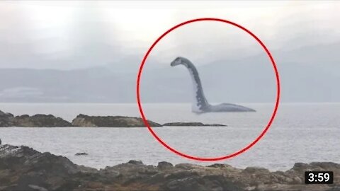 5 SEA SERPENT CAUGHT ON CAMERA