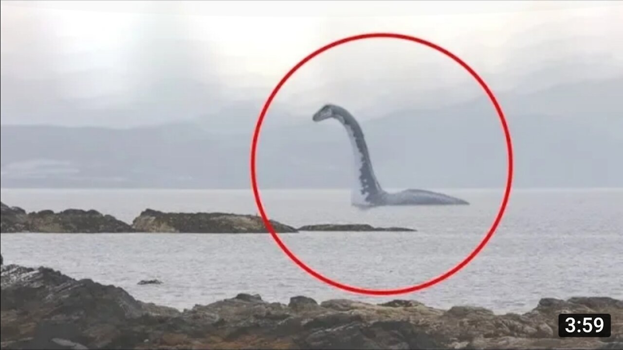 5 SEA SERPENT CAUGHT ON CAMERA