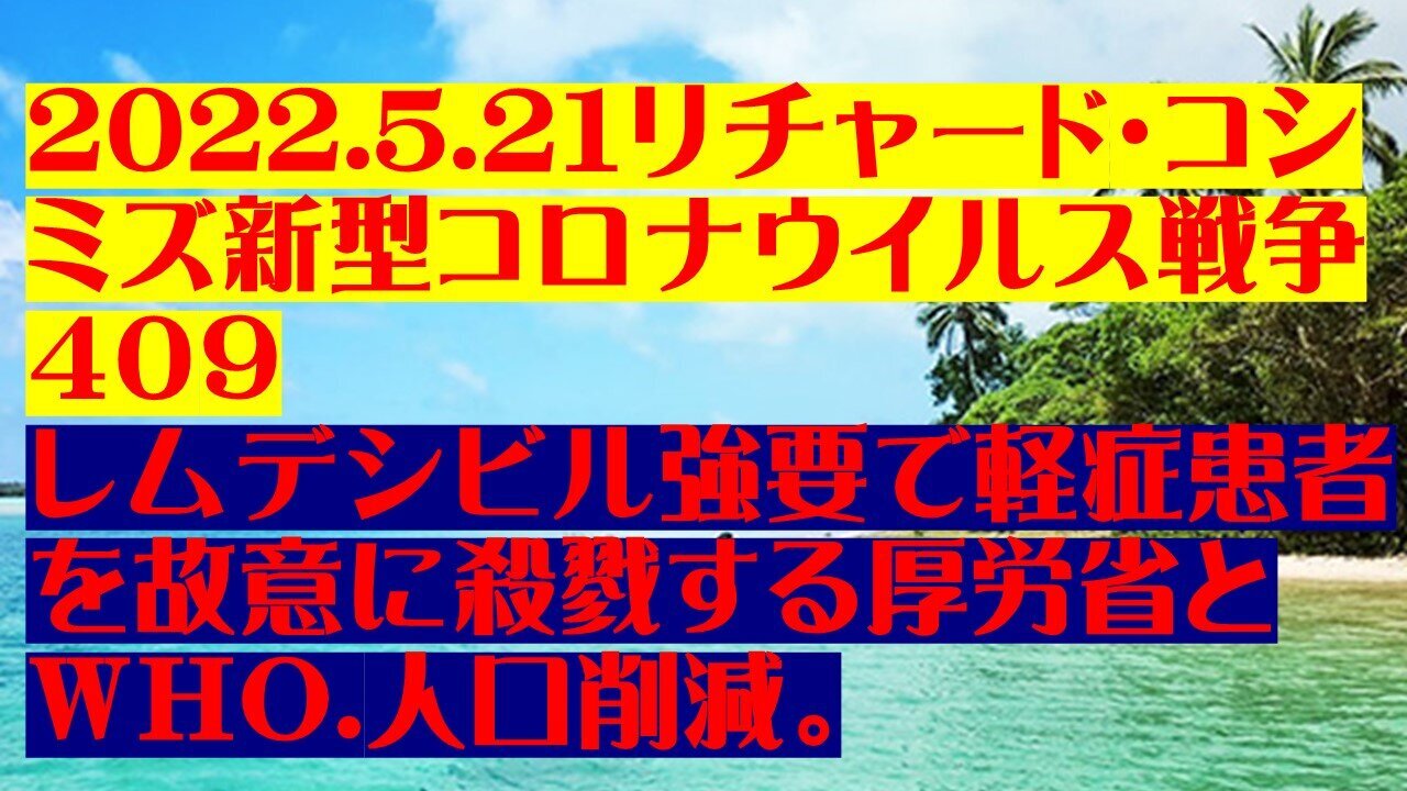 2022.05.21 リチャード・コシミズ新型コロナウイルス戦争409