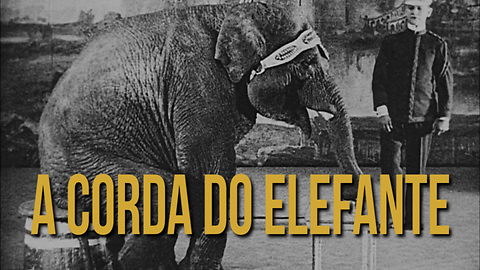 Conto: A Corda do Elefante