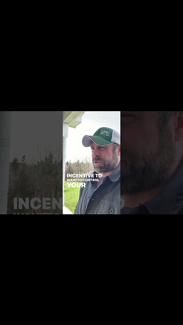 Political incentives influence education