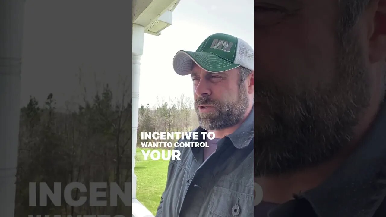 Political incentives influence education