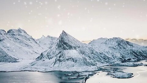 Winter Wonderland Embracing the Magic of Snow