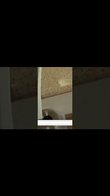 BLM ACTIVIST, tries to read. #shortsvideo #cops #blm