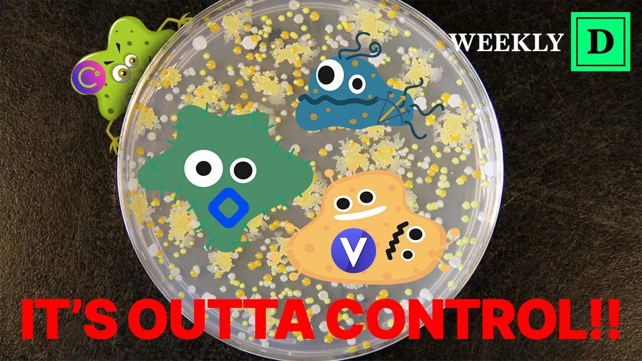 Crypto Contagion: Mapping the fallout from $LUNA, 3AC, Celsius, Voyager and Blockfi