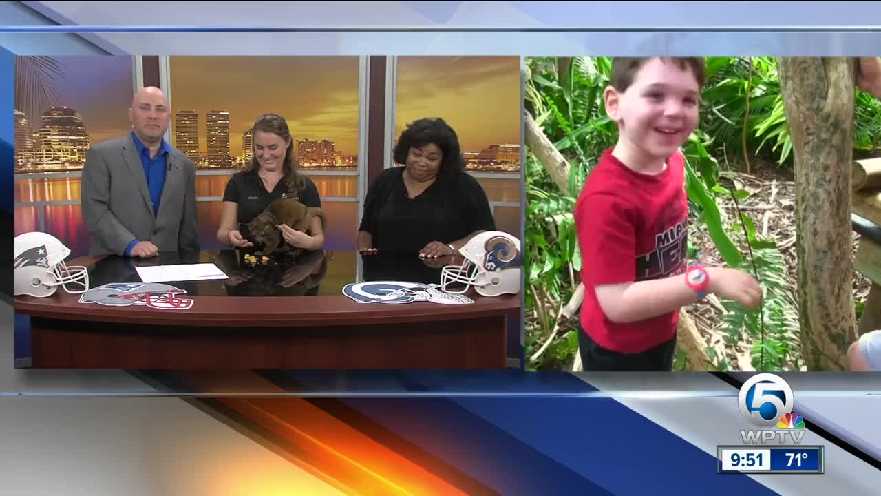 Palm Beach Zoo's kinkajou picks Super Bowl Winner