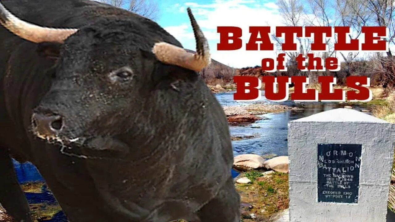 Battle of the Bulls