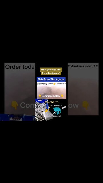 #fish #azores #acores #açores