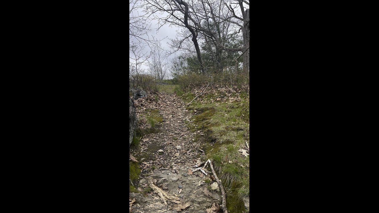 💥🌳🦆🐦⬛Hiking in Boston - Franklin Park
