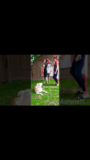 Happy Canada Day 🇨🇦