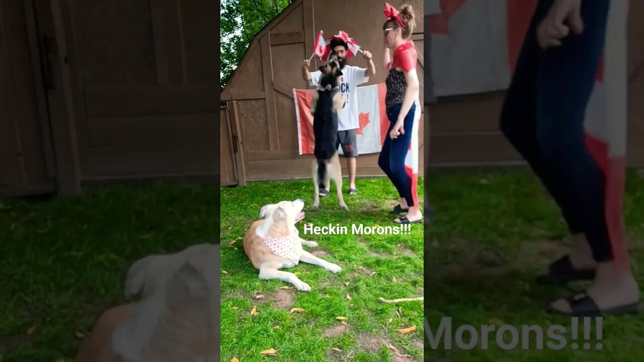 Happy Canada Day 🇨🇦