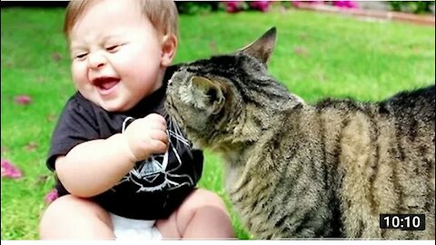 Funny cat and babies playing together. animals