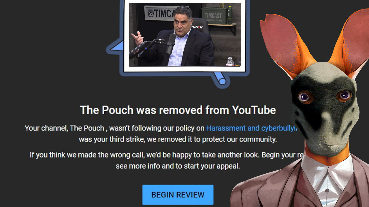 Youtube has removed The Pouch channel because of this video