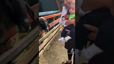 Un al doilea raspuns pentru @Delia , care a spus sa nu mai facem copii.