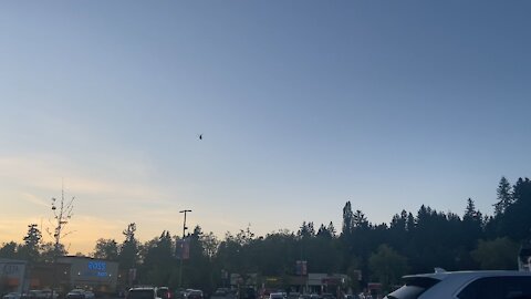 Low flying military helicopter?