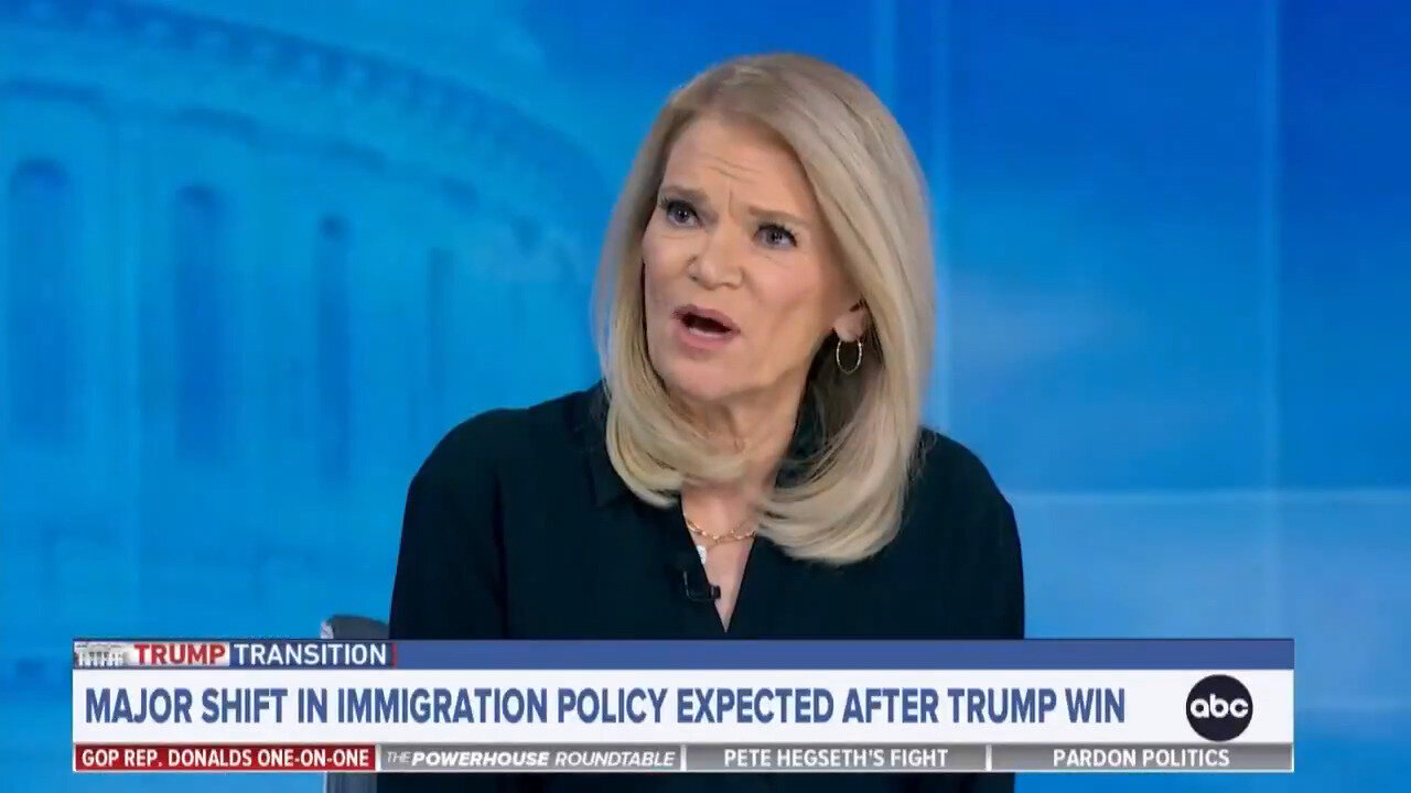 Buyer's Remorse: Martha Raddatz Mad Over Deportation Price Tag She Voted For In 2020