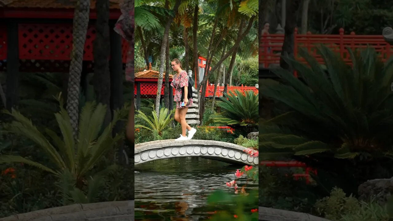 Monte Palace - Madeira #funchal #cinematic #travel #madeiraportugal #portugal #portugal🇵🇹 #shorts