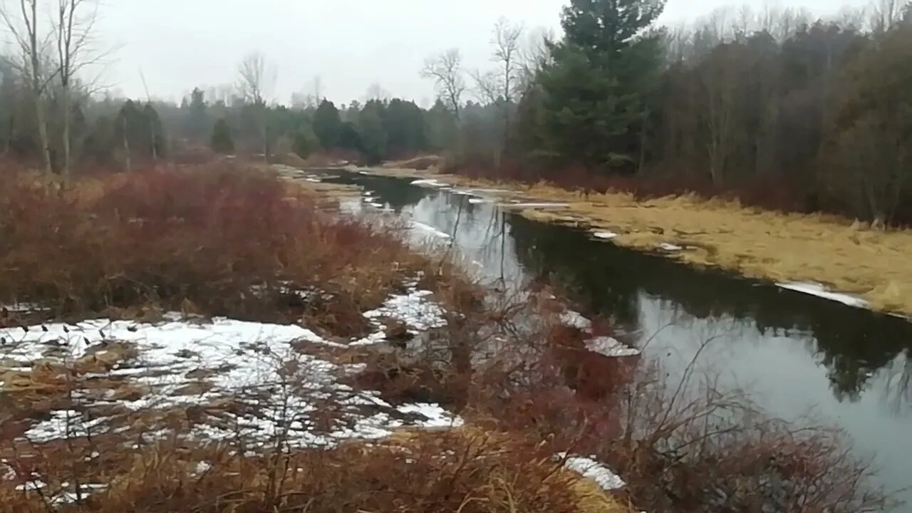 The beauty of a rural hike. Things you never see in Spring or Summer #greatoutdoors #prepardness