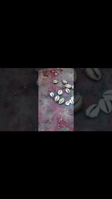 Jogo de búzios, o vídeo completo está disponível no canal ! #jogodebuzios #odu #orixa