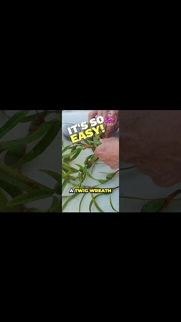 🤩🙌🏼 Get CREATIVE with Orchid Set Ups 🙌🏼🤩 Climate Permitting #inspired #ninjaorchids #shorts