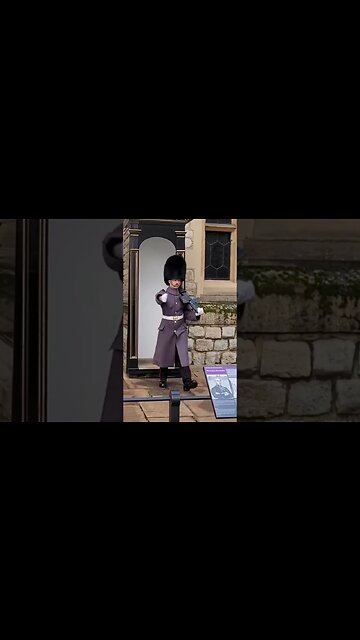 Stand by patrol #toweroflondon