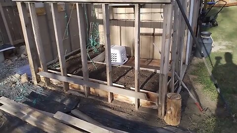 Planting Peas April 6, 2022