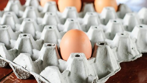 We're Beyond the Point of No Return on Food Shortages