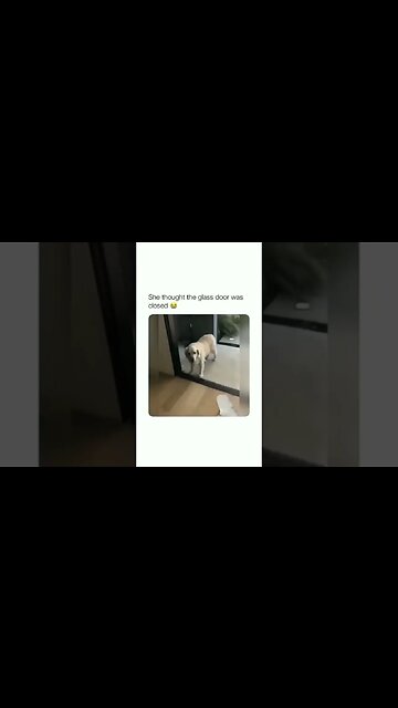 onilthegreat #shorts