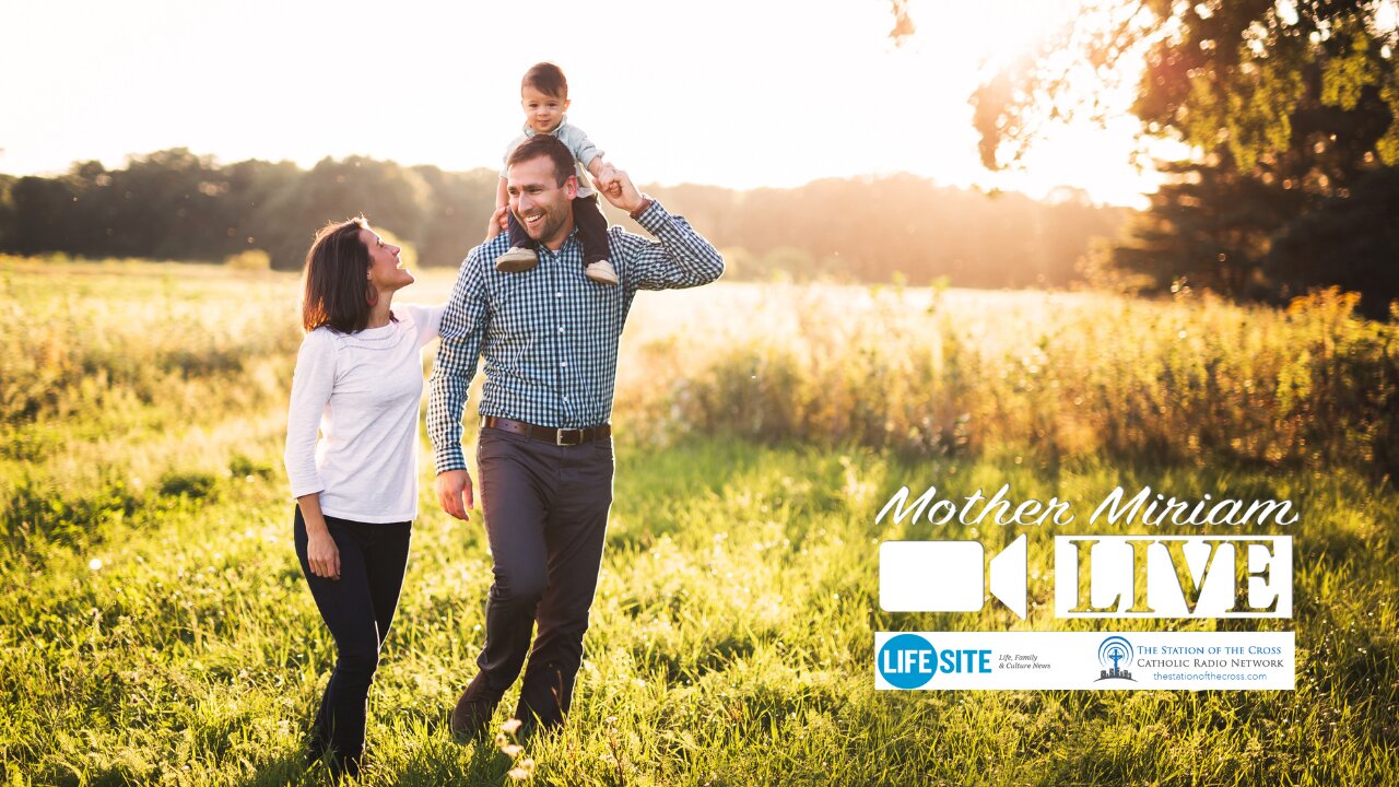 The goal of the enemy of the Church is 'to destroy the family'