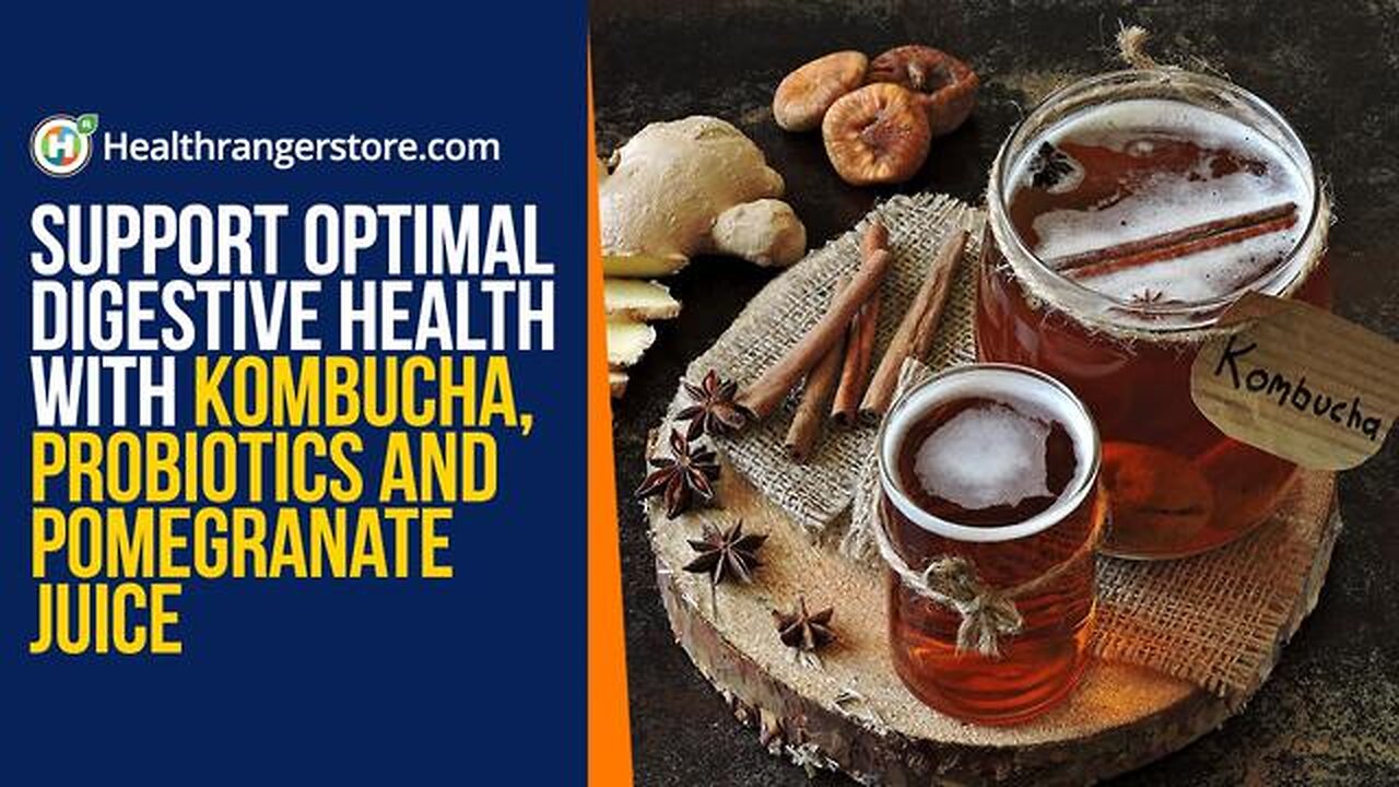 Support optimal digestive and liver health with Kombucha Probiotics and Pomegranate